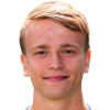 Tom van der Werff