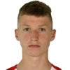 Viktor Vesligaj