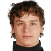 Danil Anisimov