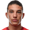 Dzenan Puce