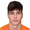 Gioele Bosi