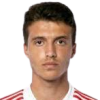 Luka Bozickovic